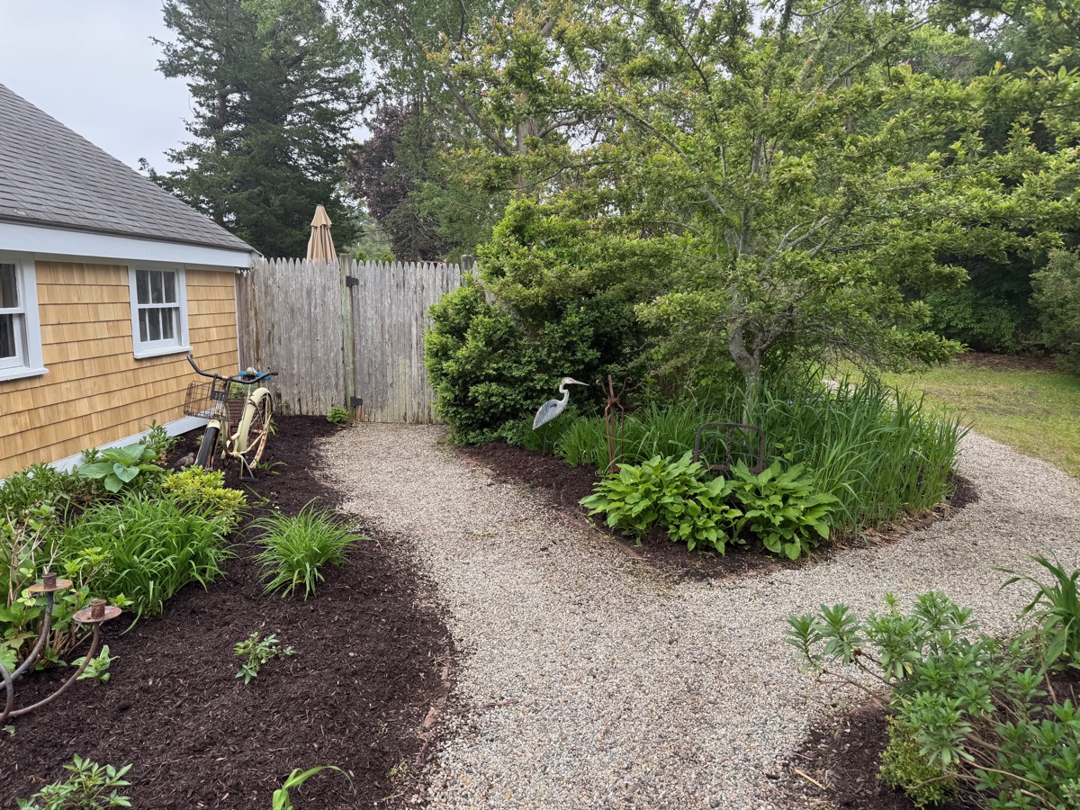 Garden path with landscaping